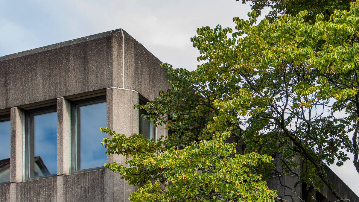 Grafisches Muster mit sich überkreuzenden Linien